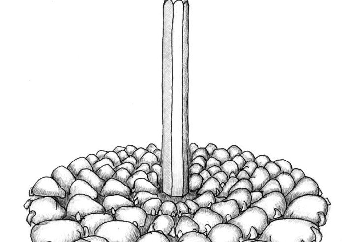 SHEMBËLLTYRA, IDHUJ, LLAFE