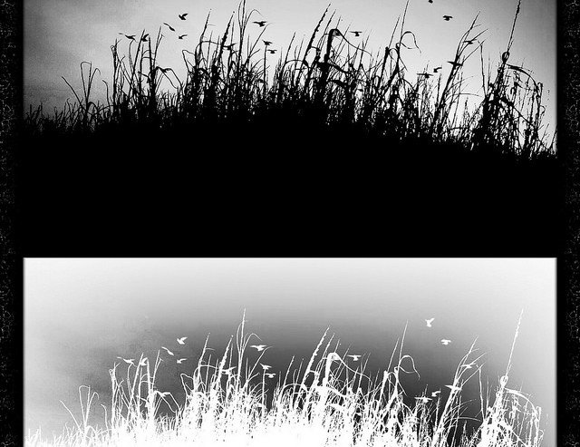 KUNDËR PARTITOKRACISË