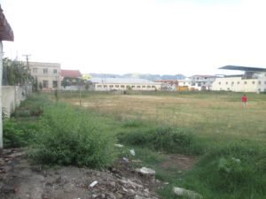 fusha e madhe-gusht2015-ok