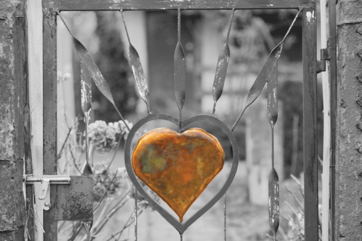 1×10: ZEMRA VËRTITËSE