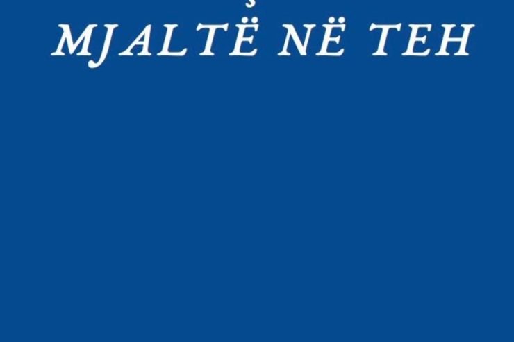 1X10: MJALTË NË TEH