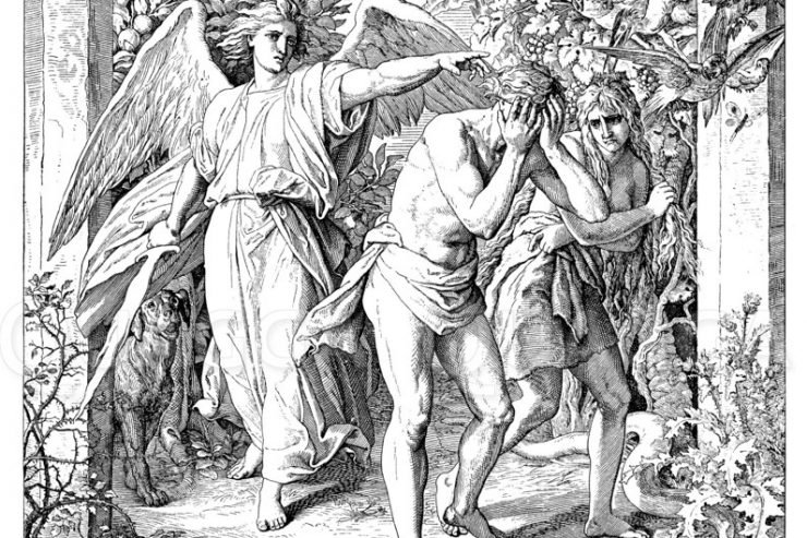 RENDE DHE FRAGMENTE TË TURPIT