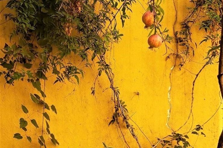 BOTIME TË EGRA, REAGIME TË FSHEHTA