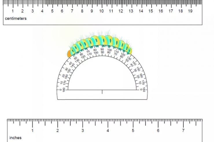 MENDJE DREJTVIZORE (II)