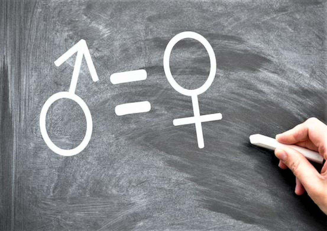 SHËNIME PËR GJININË