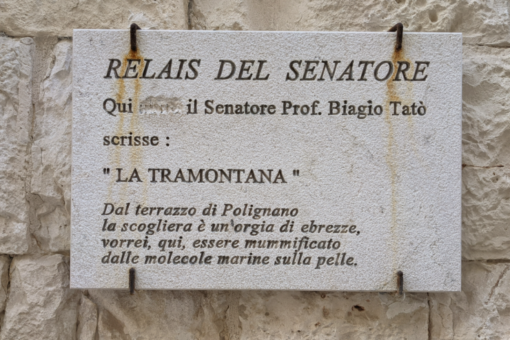 PLLAKA QË KORRIGJON VETVETEN