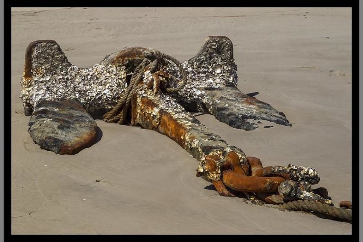 RRËNJËT DHE VARGONJTË