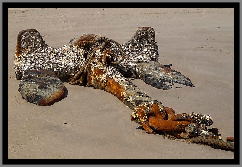 RRËNJËT DHE VARGONJTË