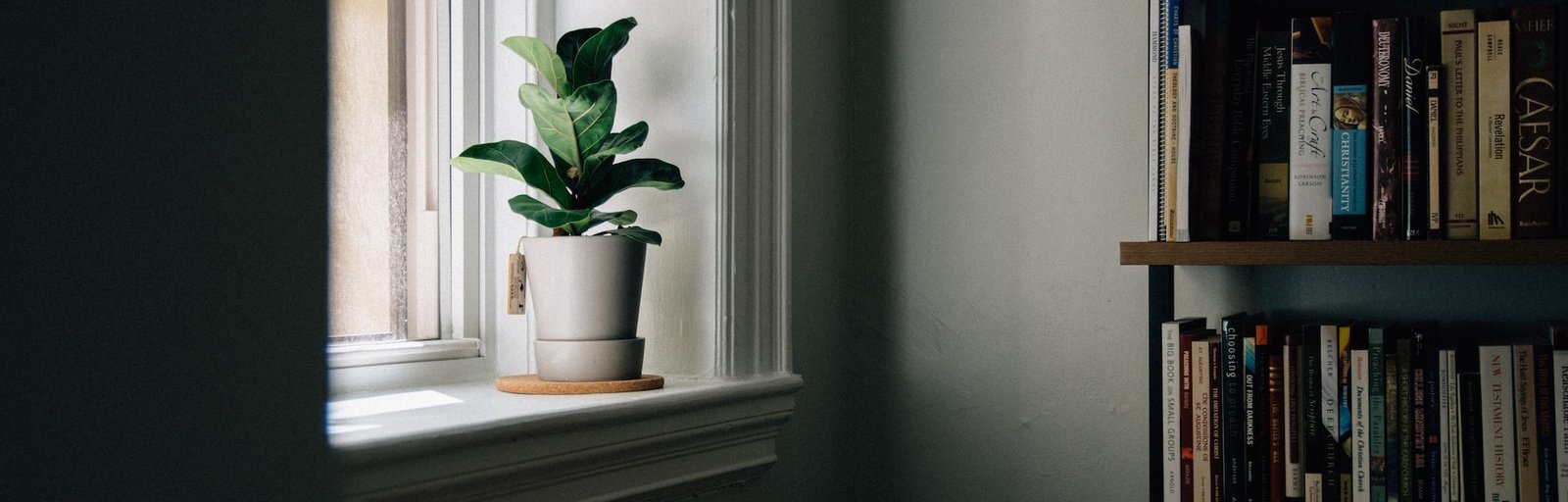 Merr pjes​​ë​