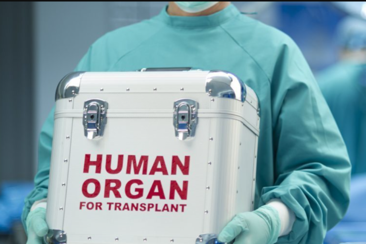 MBI TRANSPLANTIMIN E ORGANEVE (NË SHQIPËRI)