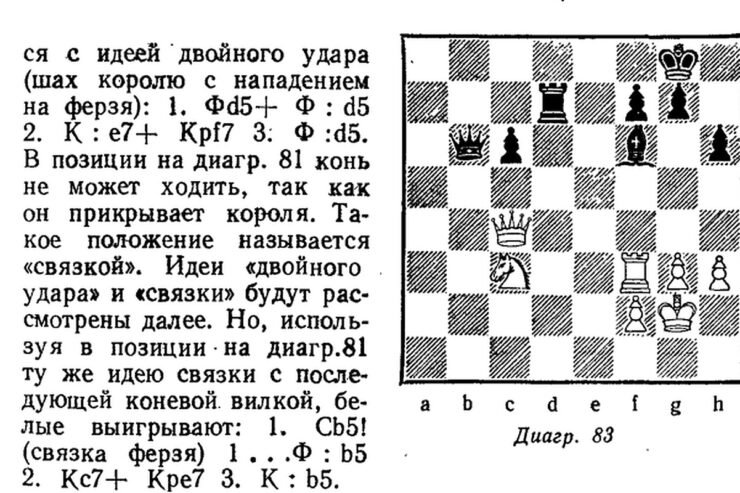 NË FILLIM ISHTE LIBRI (I SHAHUT)