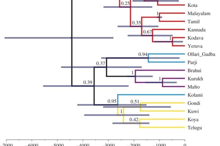 ARTIKULLI I SCIENCE – PËRSIATJE FILLESTARE