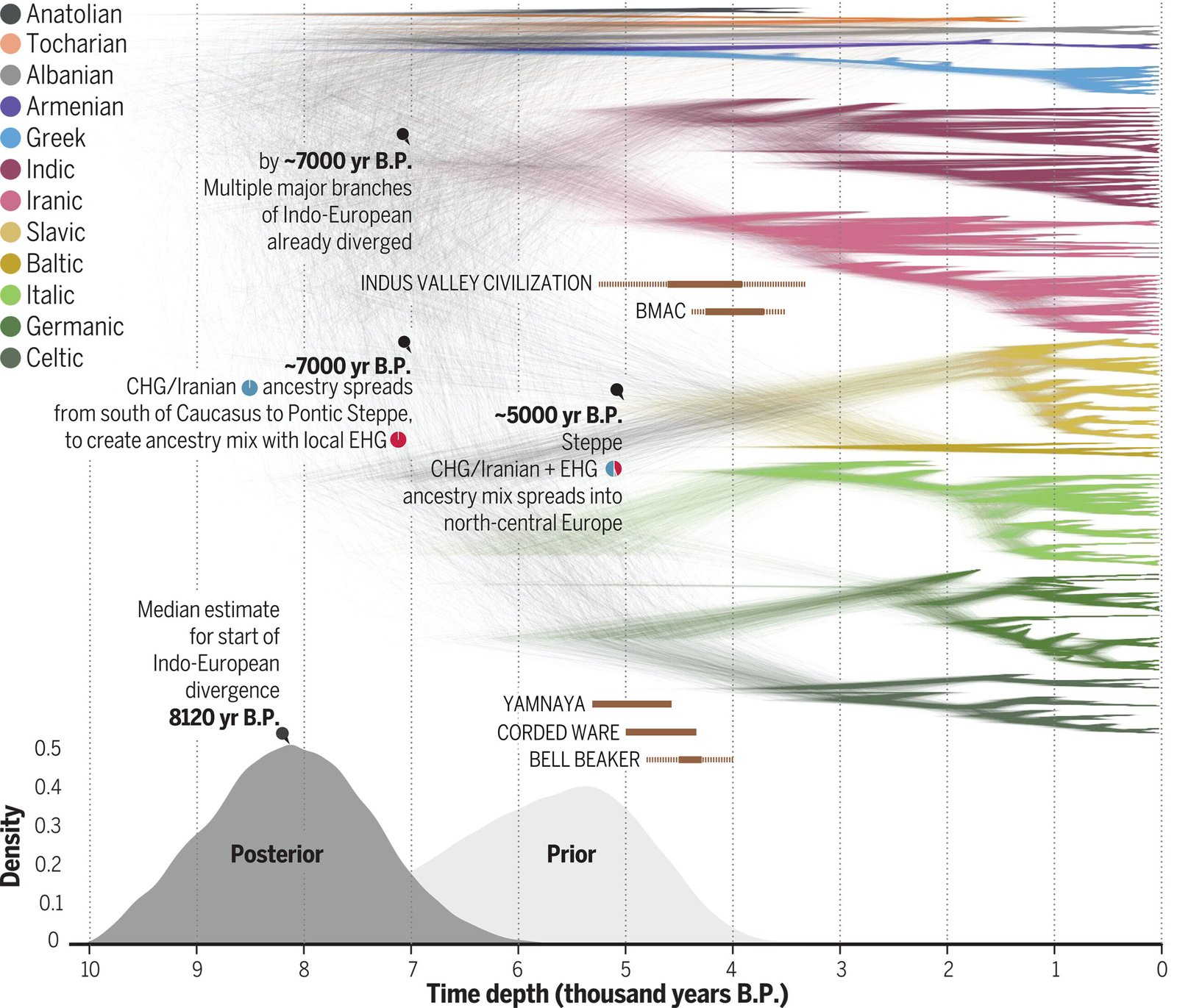 TË BASHKËJETOSH ME HIPOTEZËN