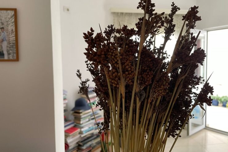 PARA SE ZJARRI TA BËJË KUJTIM PISHPORON