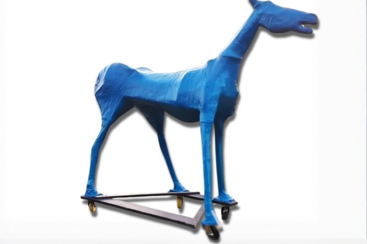 HISTORIA E NJË KALI