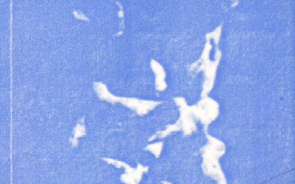 SHIJE KULTURORE DHE PRAKTIKË POLITIKE