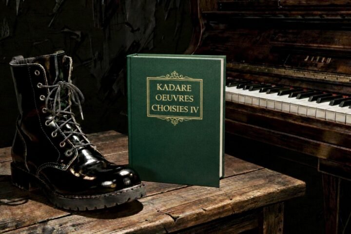 DHIMBJA BRENDA SHKËLQIMIT