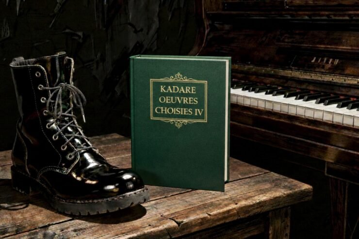 DHIMBJA BRENDA SHKËLQIMIT